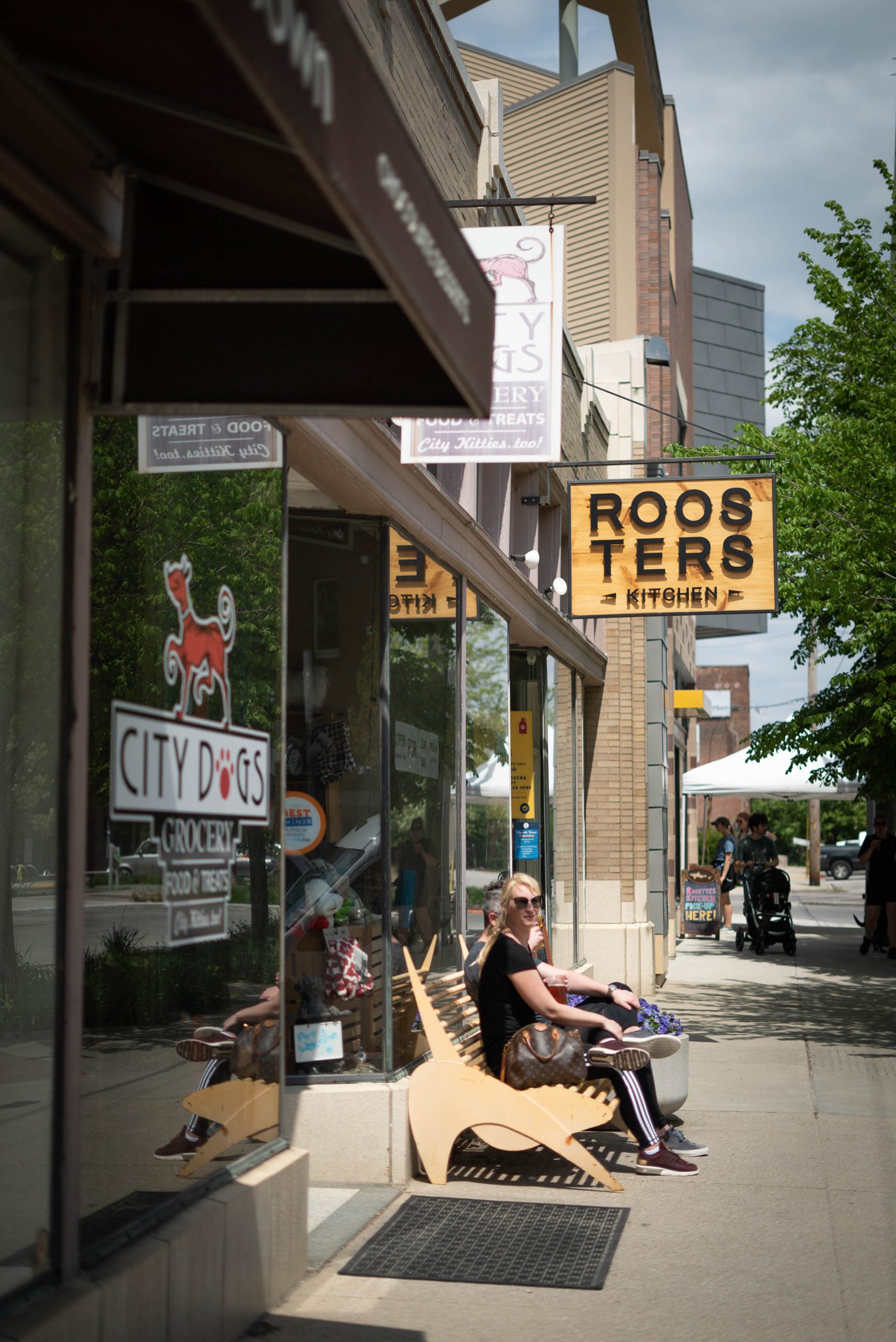 Roosters (2 of 9).jpg