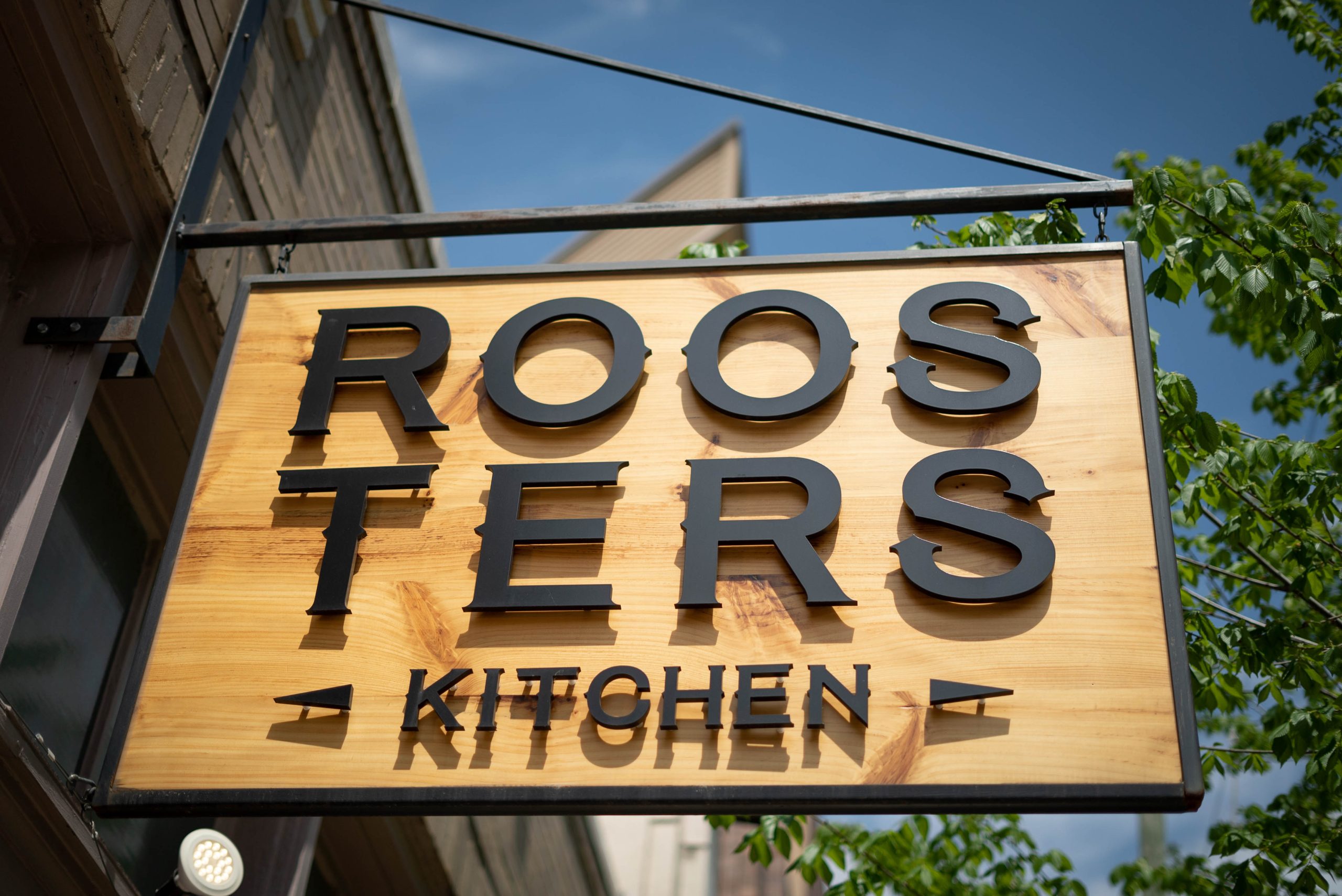 Roosters (3 of 9).jpg