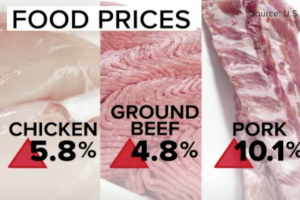 Food Prices
