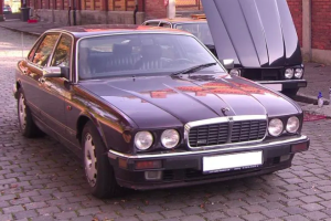 jaguar mccann
