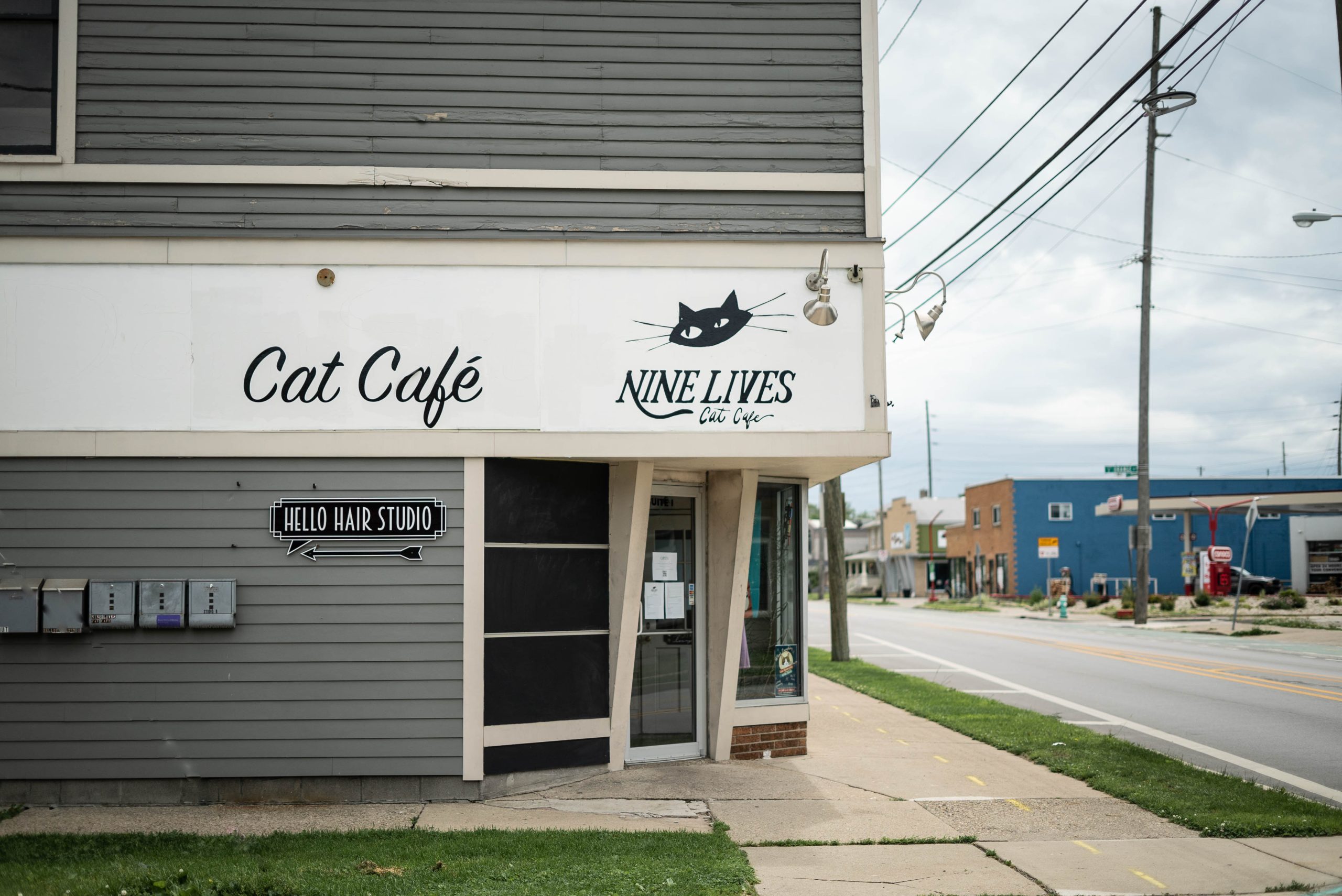 Nine lives (1 of 20).jpg
