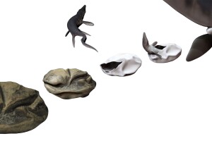 Mosasaur hatching from Antarctica egg