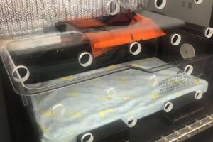 Photo of the inside of a Safe Haven Baby box provided by SHBB