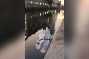 Protesters in Baltimore pull down statue of Christopher Columbus, throw it into Inner Harbor