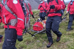 Britain Dog Mountain Rescue