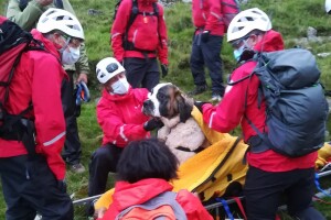Britain Dog Mountain Rescue