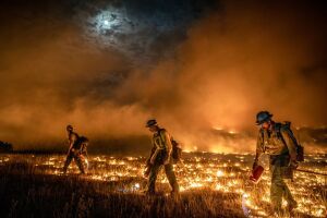 Pine Gulch Fire_Wyoming Hotshots/Pine Gulch Fire