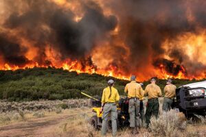 Pine Gulch Fire_Wyoming Hotshots/Pine Gulch Fire 2