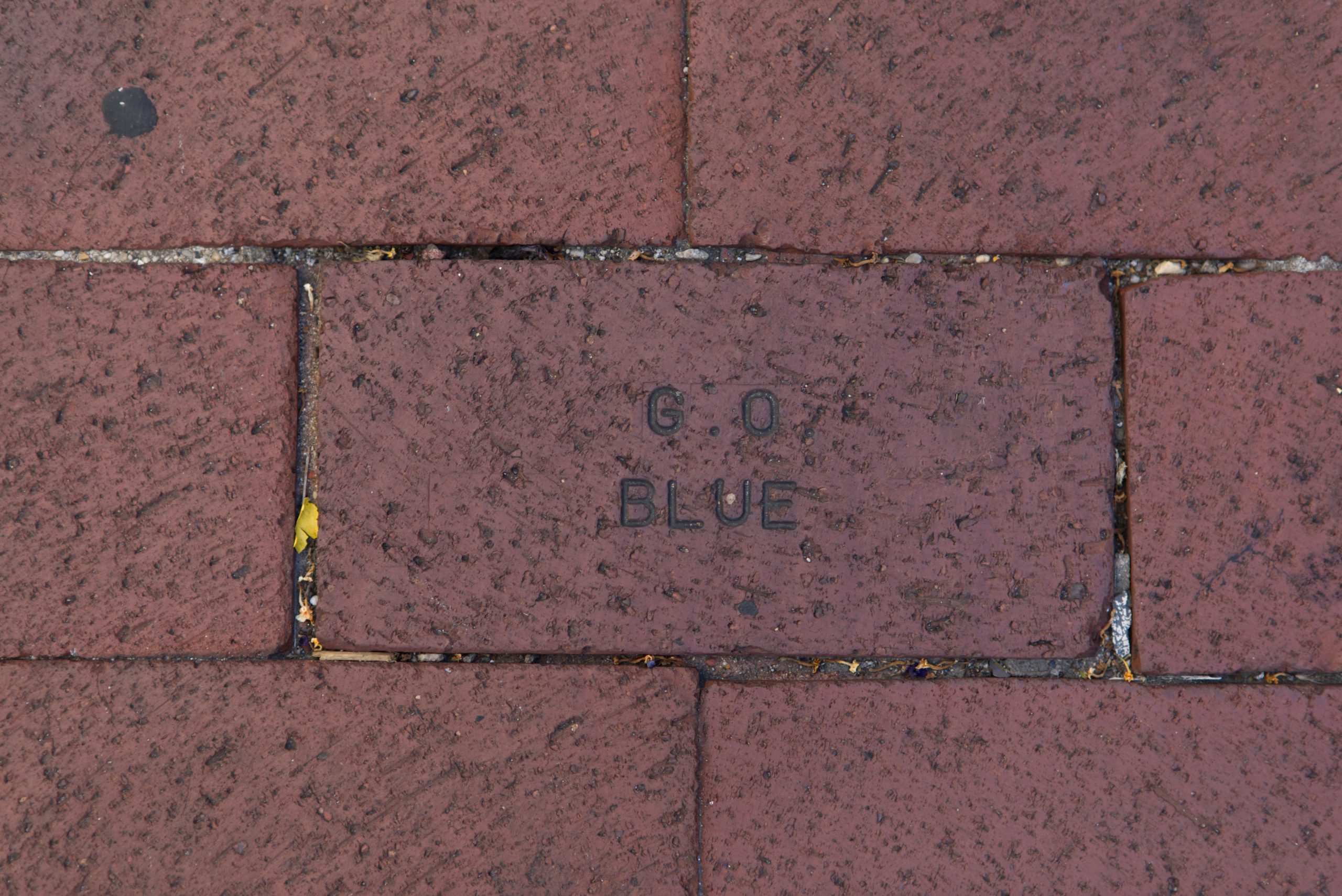 Bricks_6.jpg