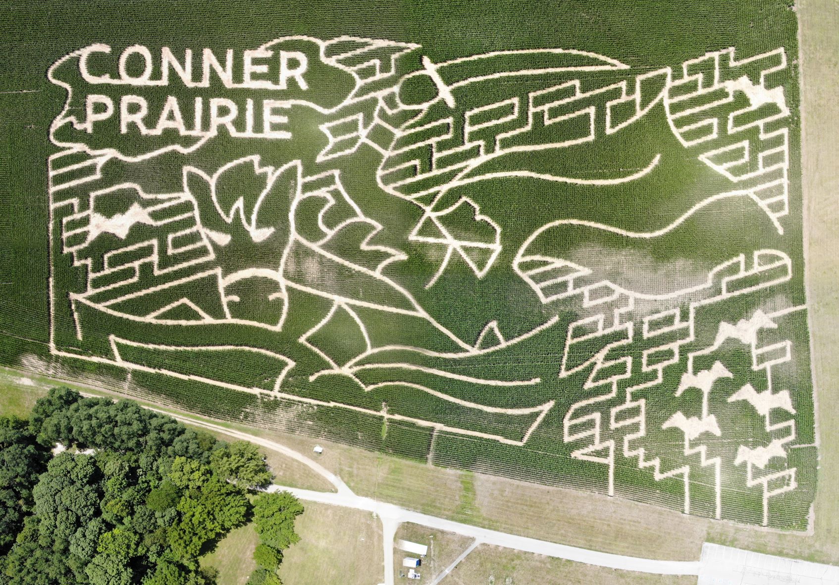 2020CornMazeA.jpg