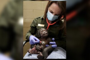 baby-franklin-zoo.jpg
