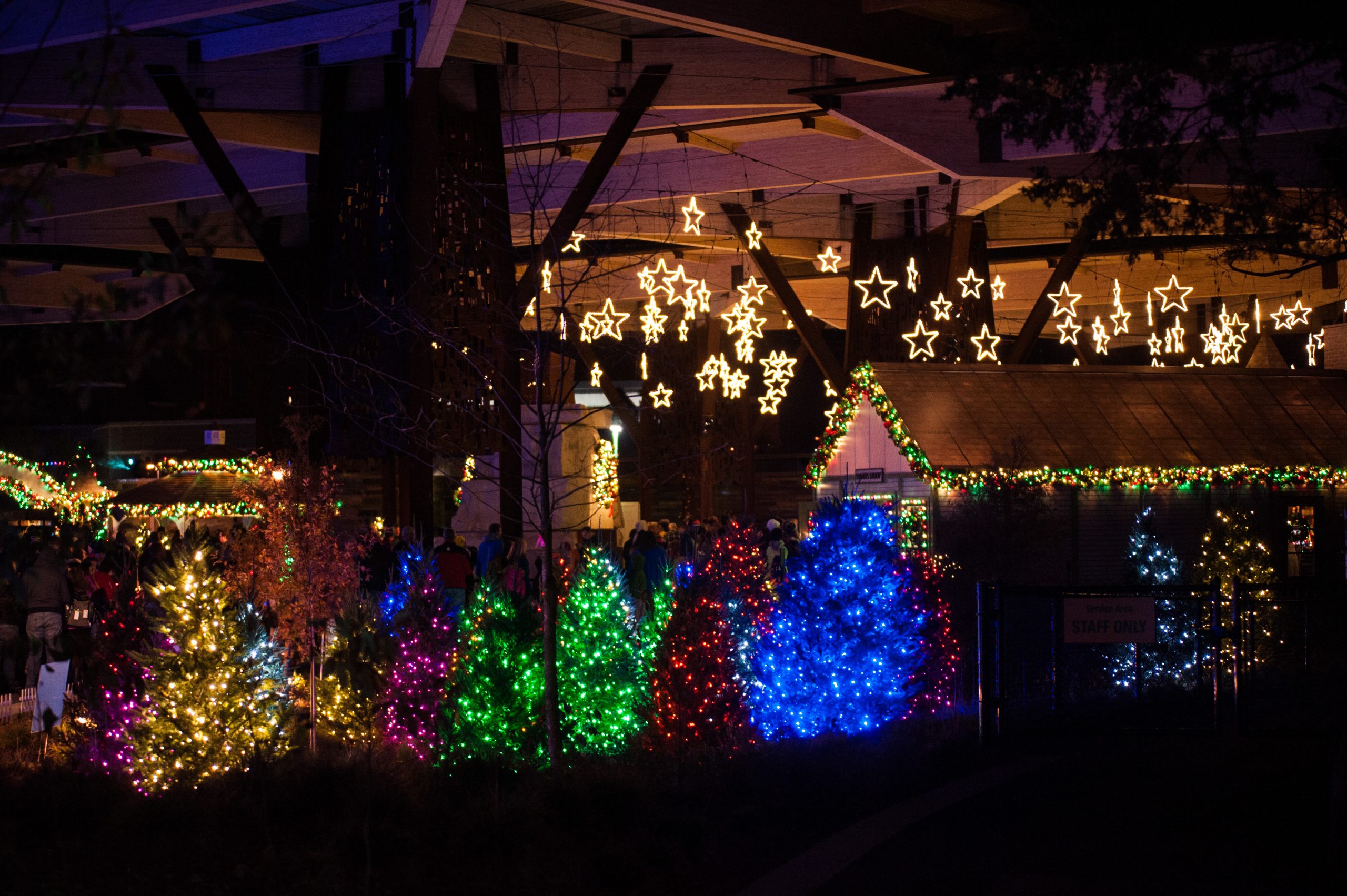 Lights in Pavilion2-Erik Markov.jpg