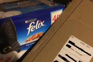 Cat food in Playstation  box
