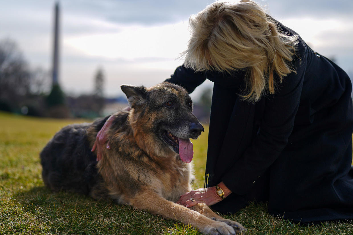 Champ Biden dog.jpg