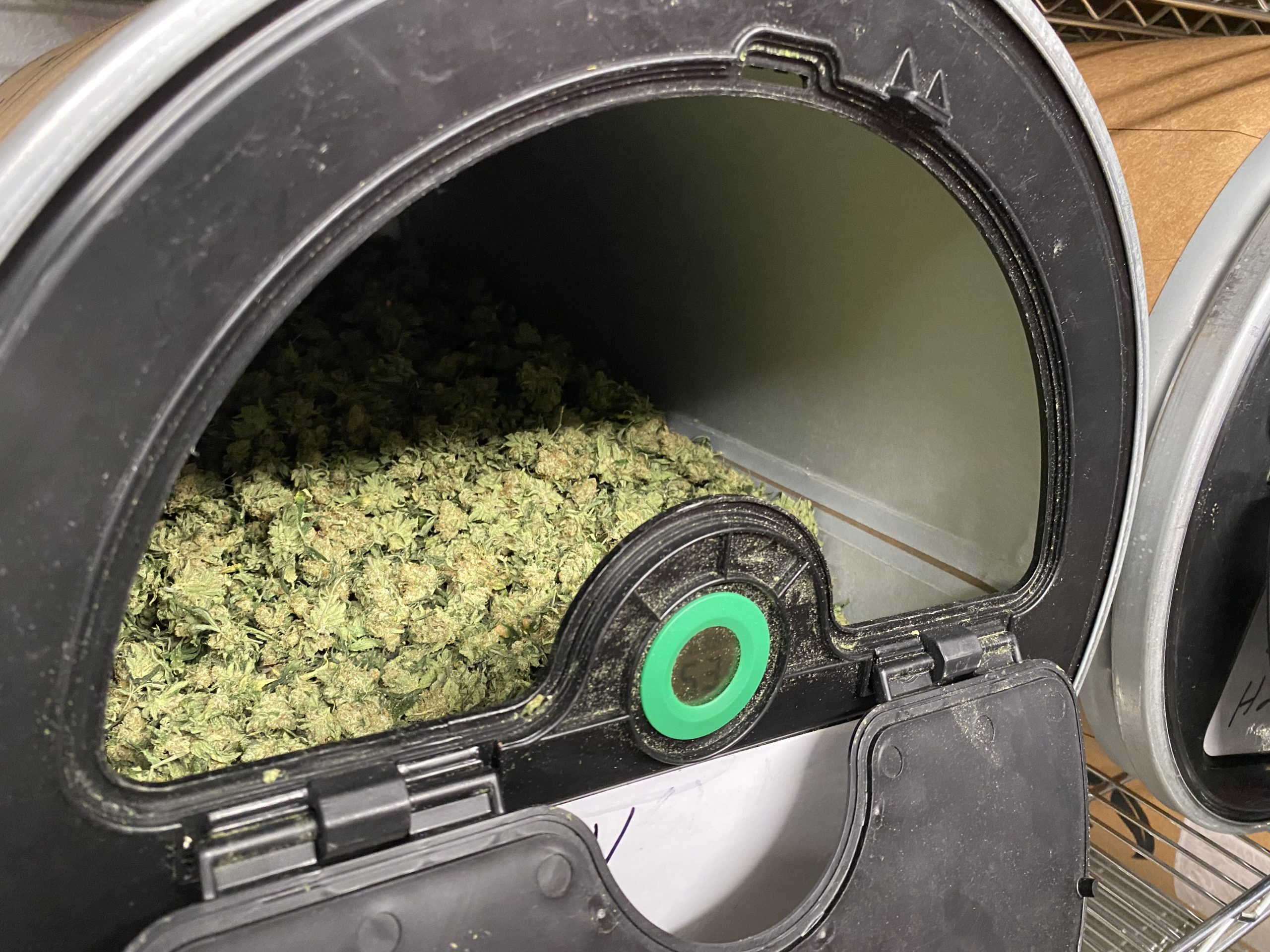Marijuana
