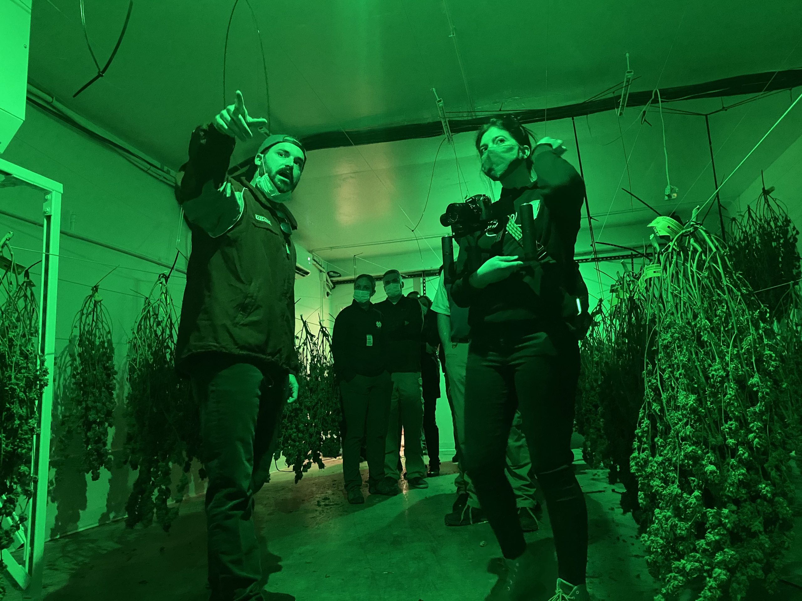 Marijuana cultivation facility
