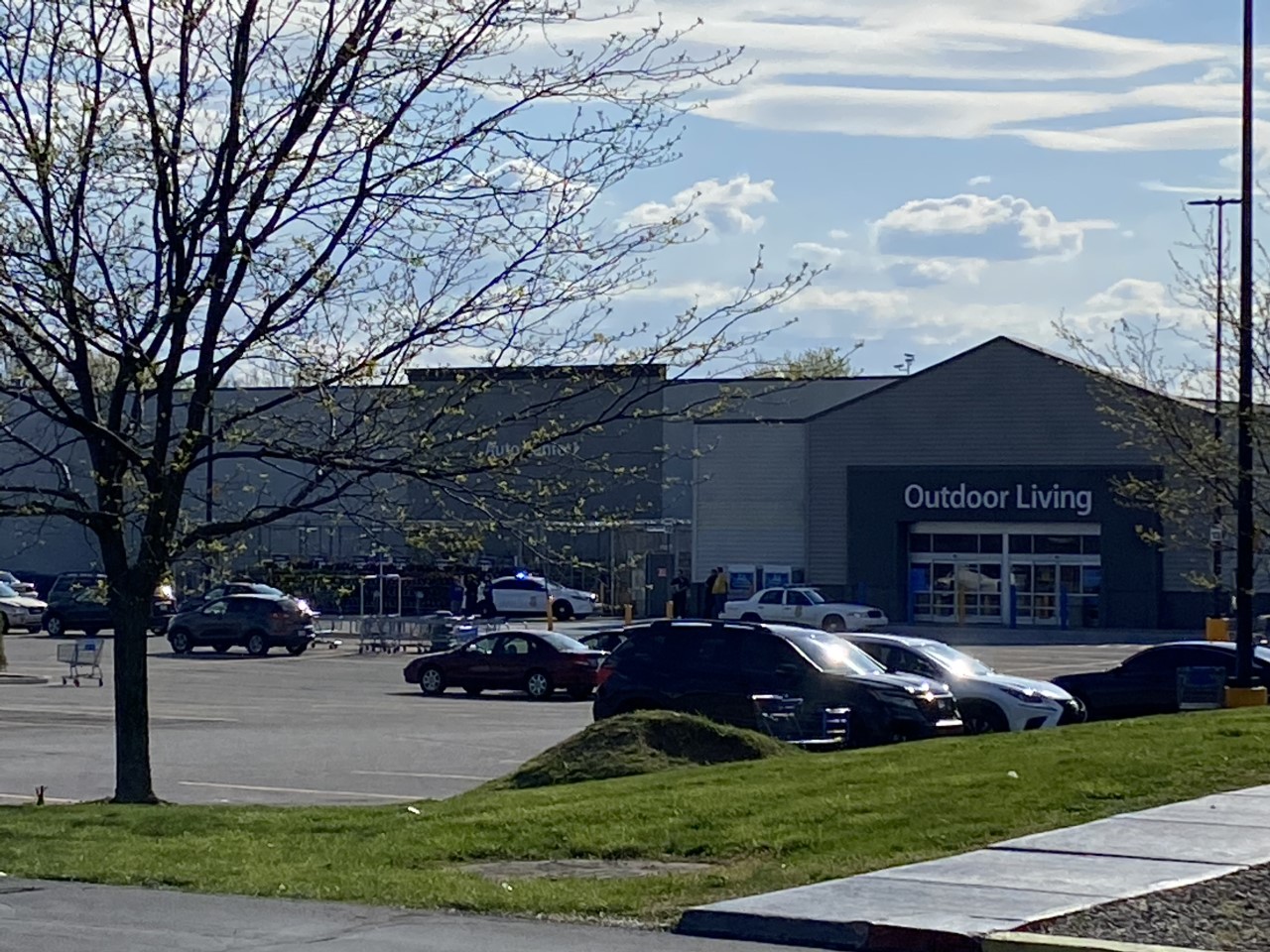 beechgrove_walmart1.jpg