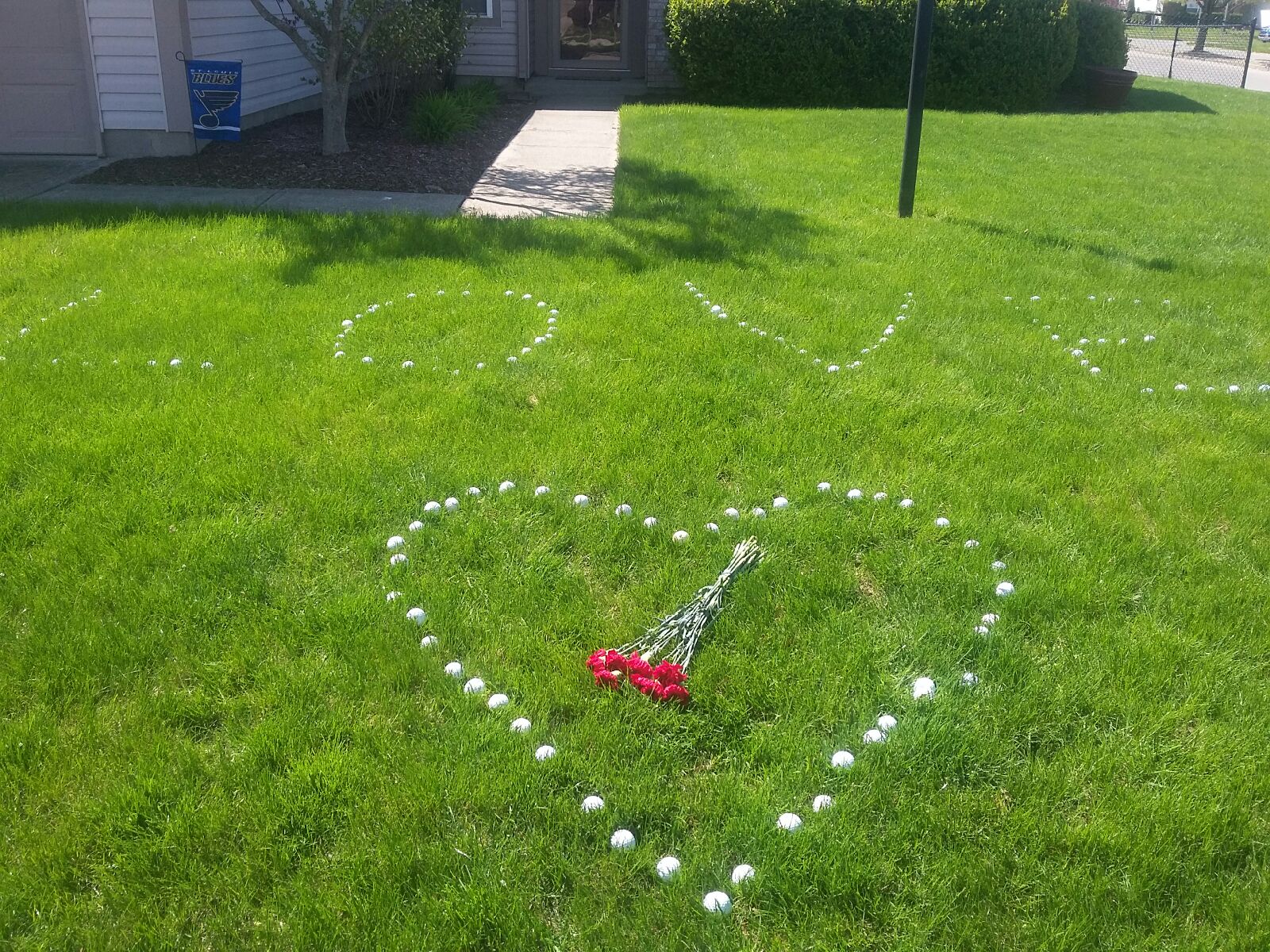 On Sunday, the Alexander family went to Matt's house and found this on his front lawn. Someone earlier came out and spelled the word 'love' with a heart and put a bouquet of red carnations in the center of the heart. 

CREDIT: Alexander Family