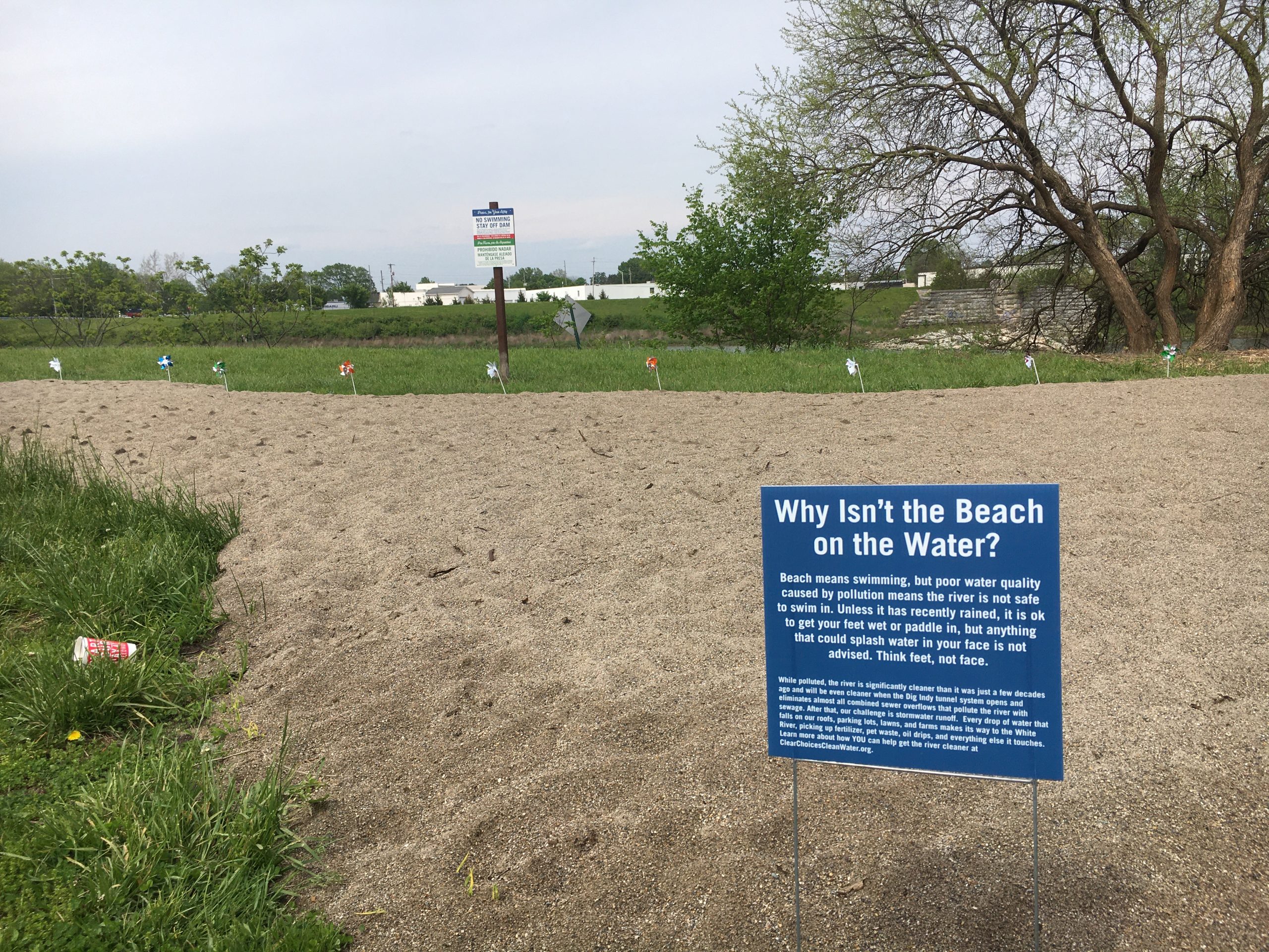 No swimming at Belmont Beach