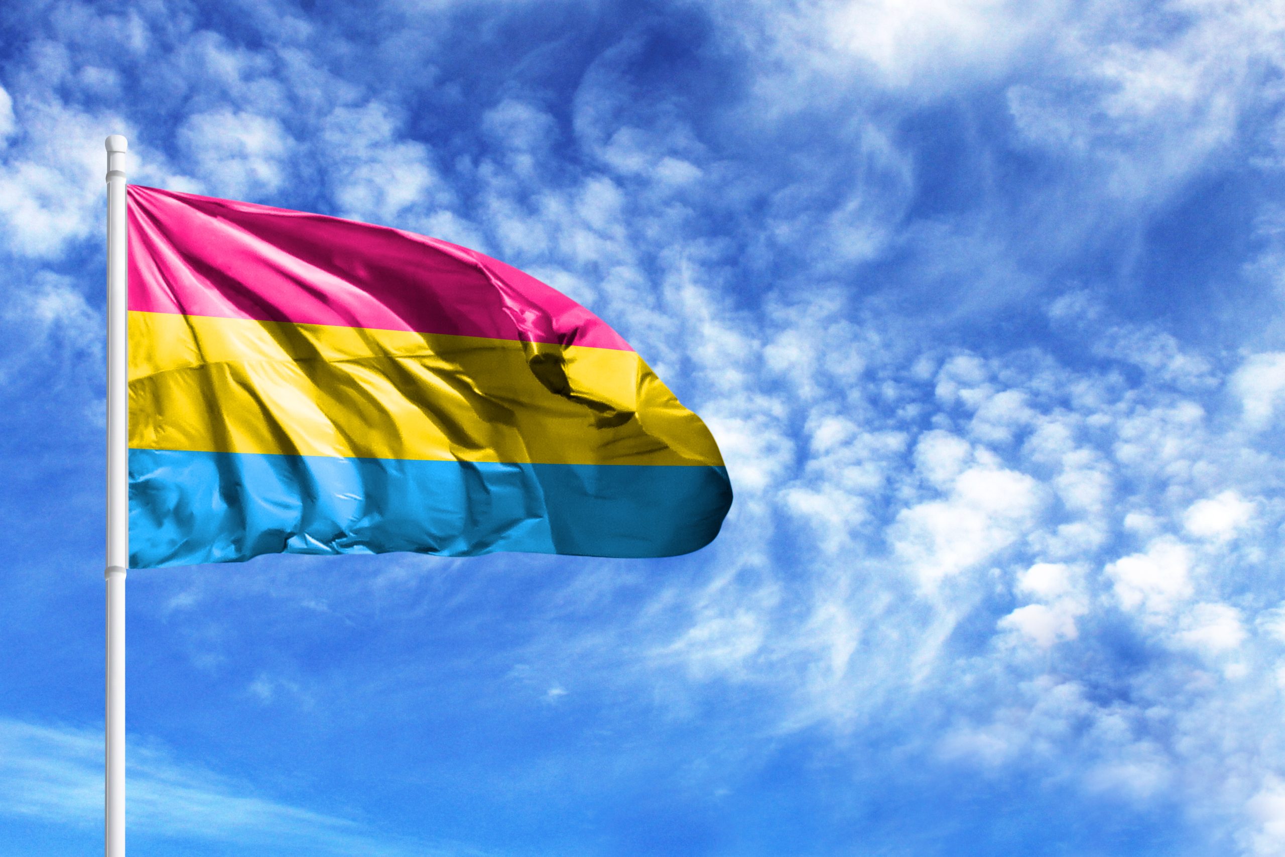 National,Flag,Of,Pansexuality,Pride,On,A,Flagpole,In,Front