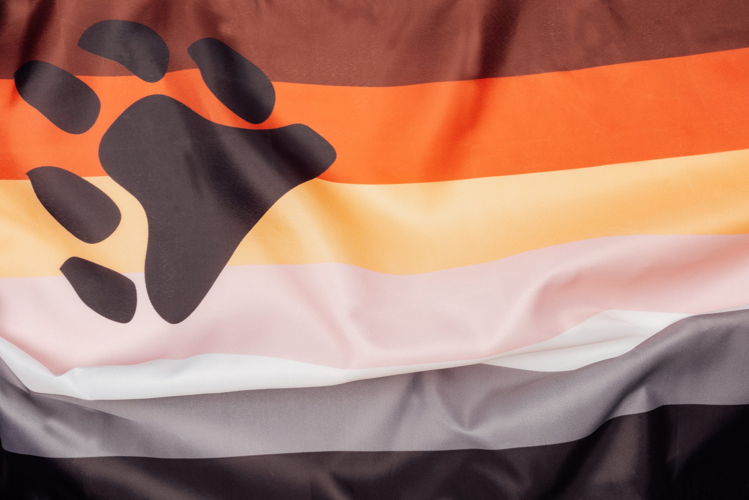 Gay,Pride,Flag,Bear,With,Bear,Paw