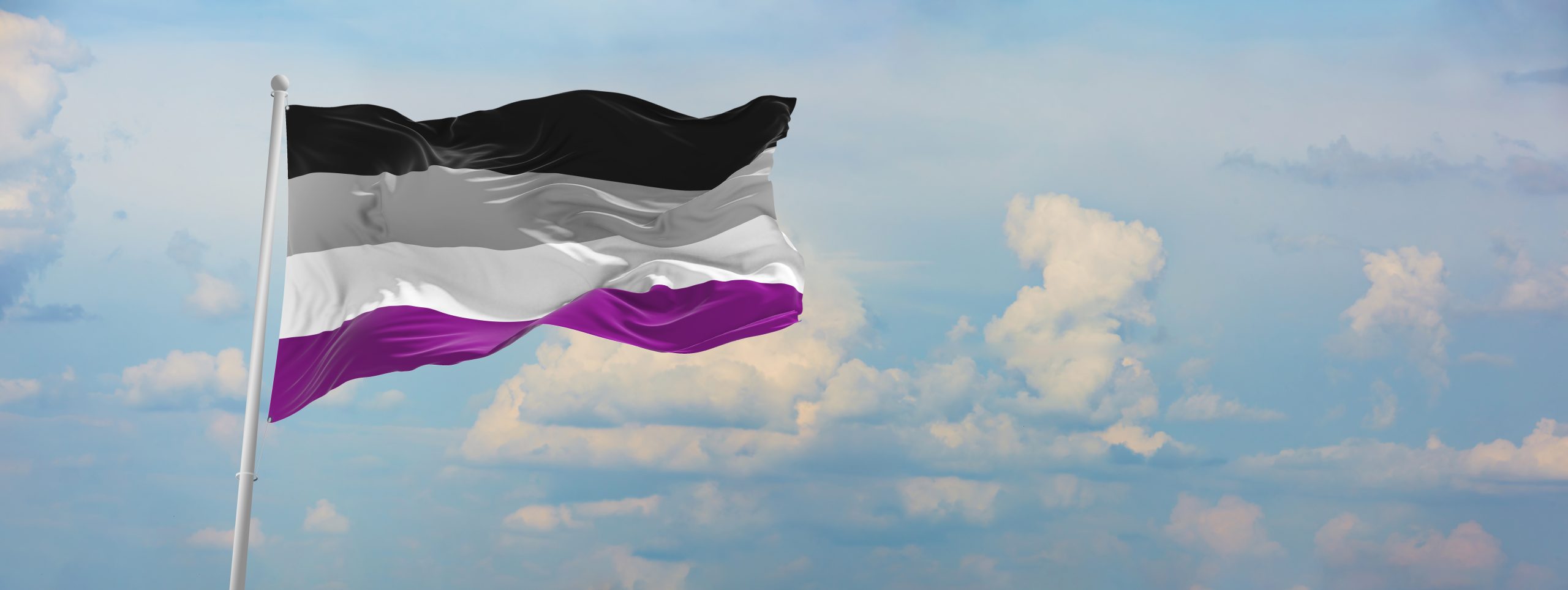 Flag,Of,Asexuality,Pride,Waving,In,The,Wind,On,Flagpole