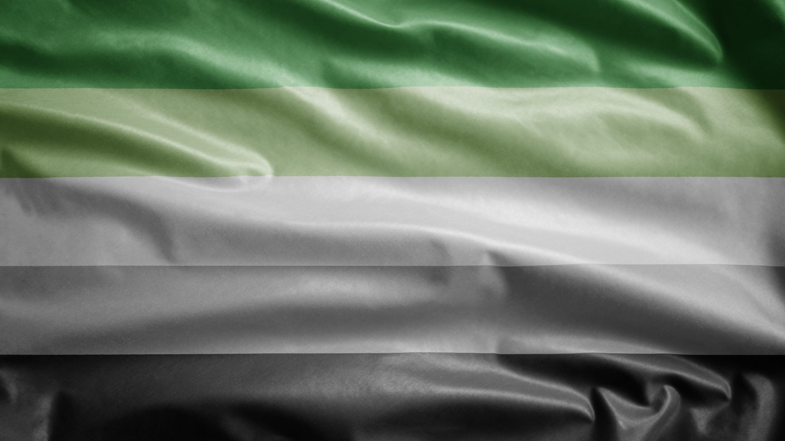 Aromantic,Flag,Waving,In,The,Wind.,Close,Up,Of,Aromanticism