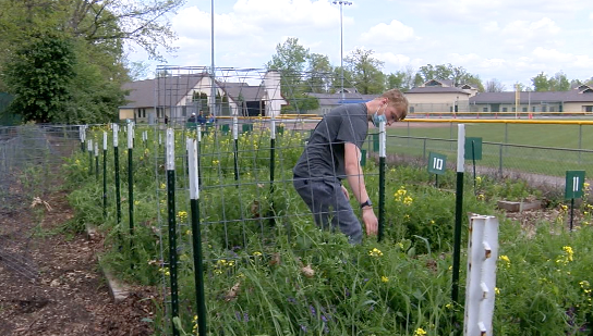 Screen Shot 2021-06-09 at 6.12.21 PM.png