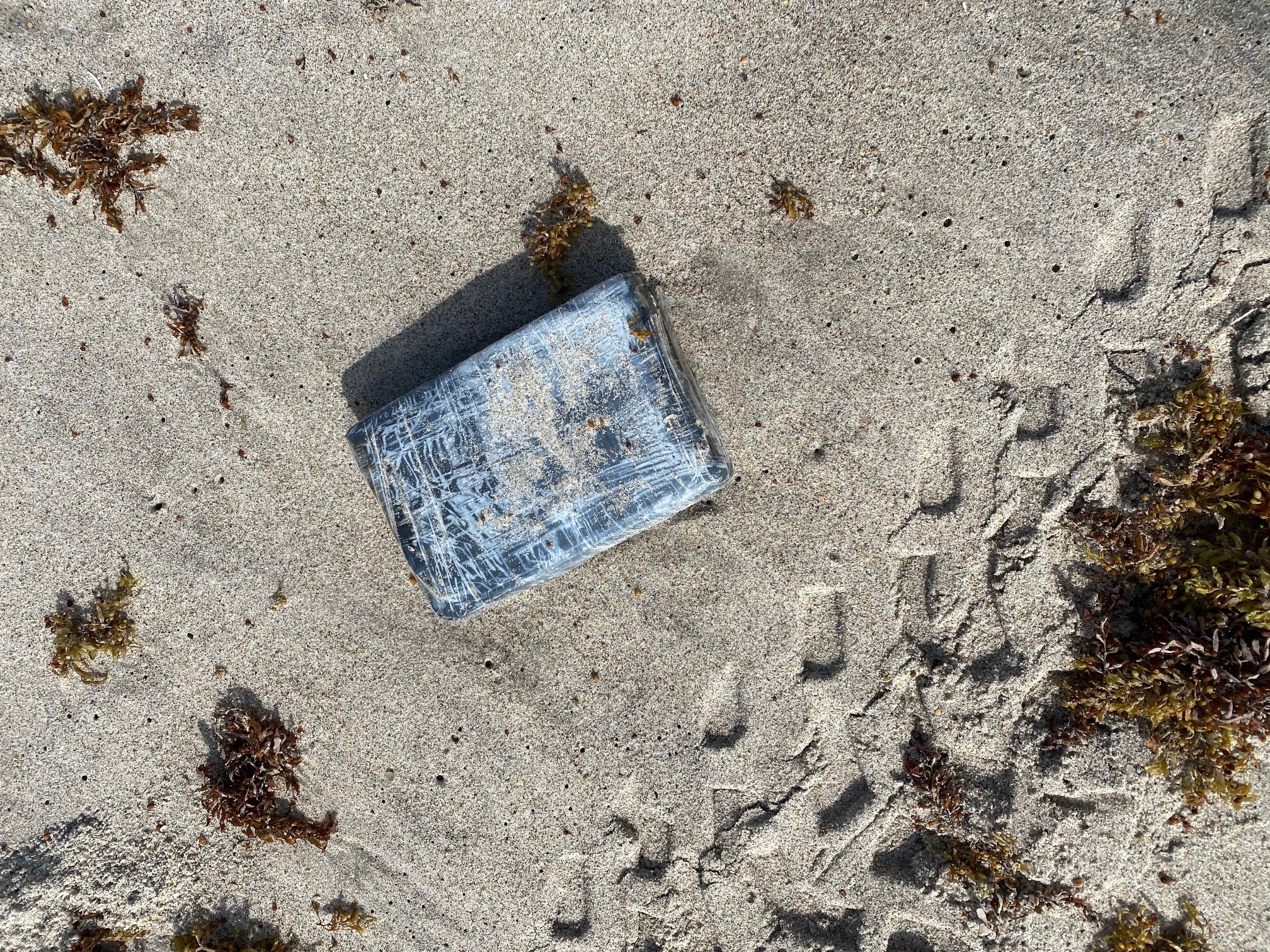 beach cocaine