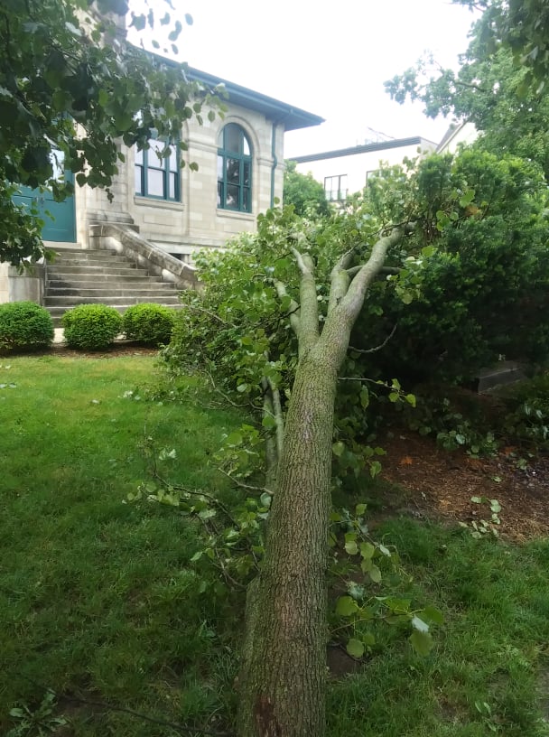 Bloomington Damage