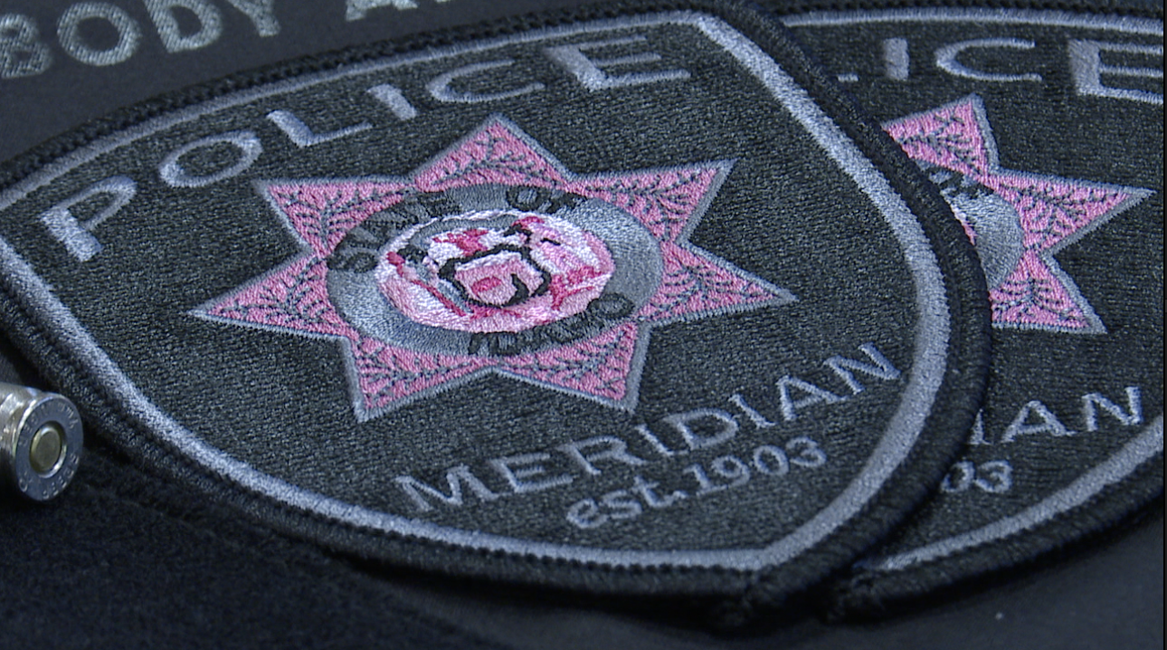 Meridian Police Department "Pink Patches"