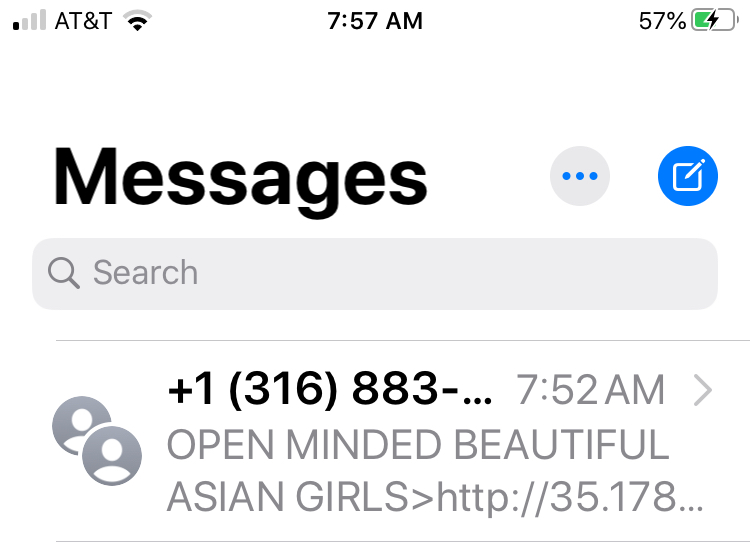 A phishing text message sent to Sheila Black of Carmel. She gets them several times a day.