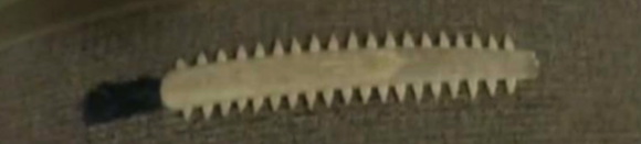 Michael Clark's swordfish sword 
