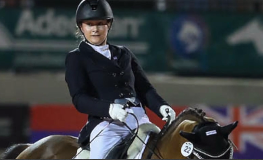 equestrian.PNG