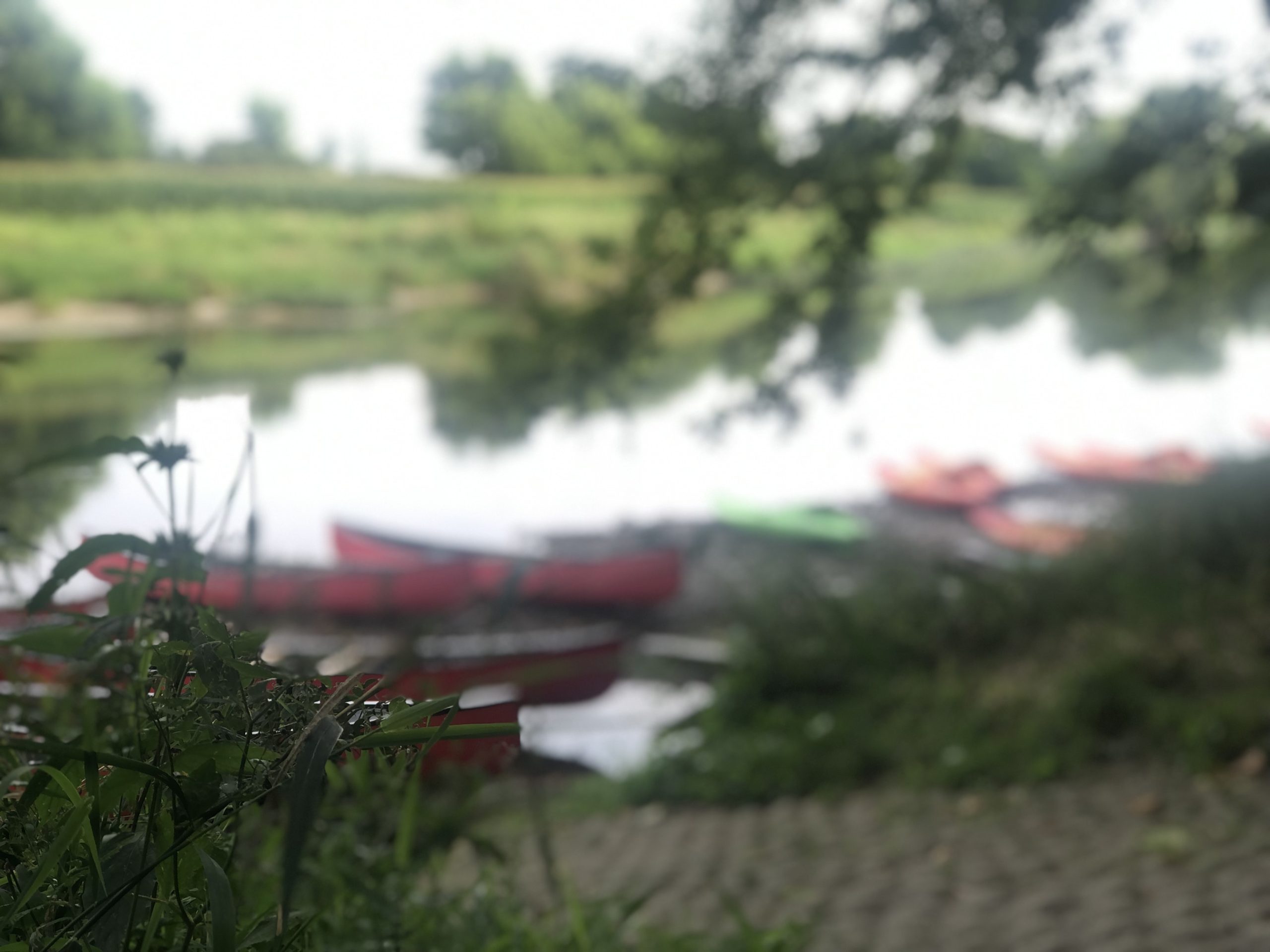 White River.jpg