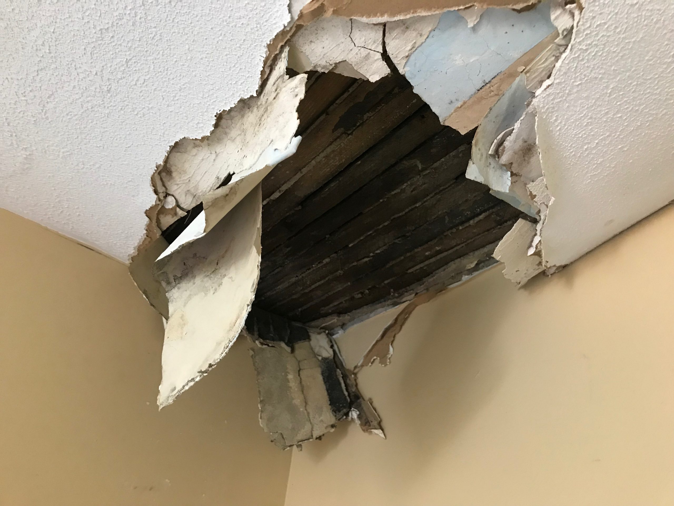 Collapsing Ceiling.JPG
