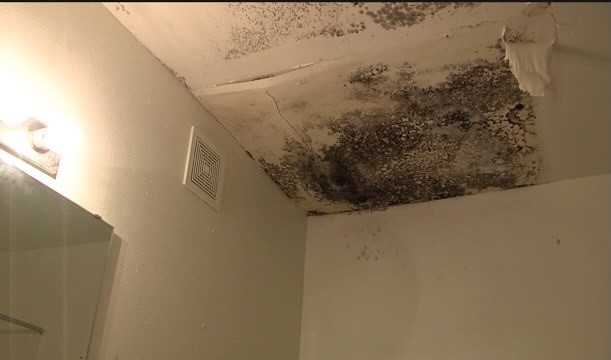mold ceiling.jpg