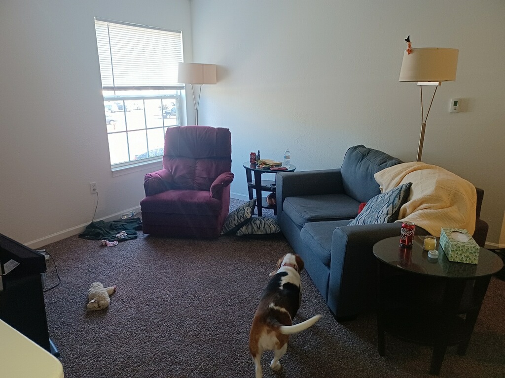 Furnishing the new apartment