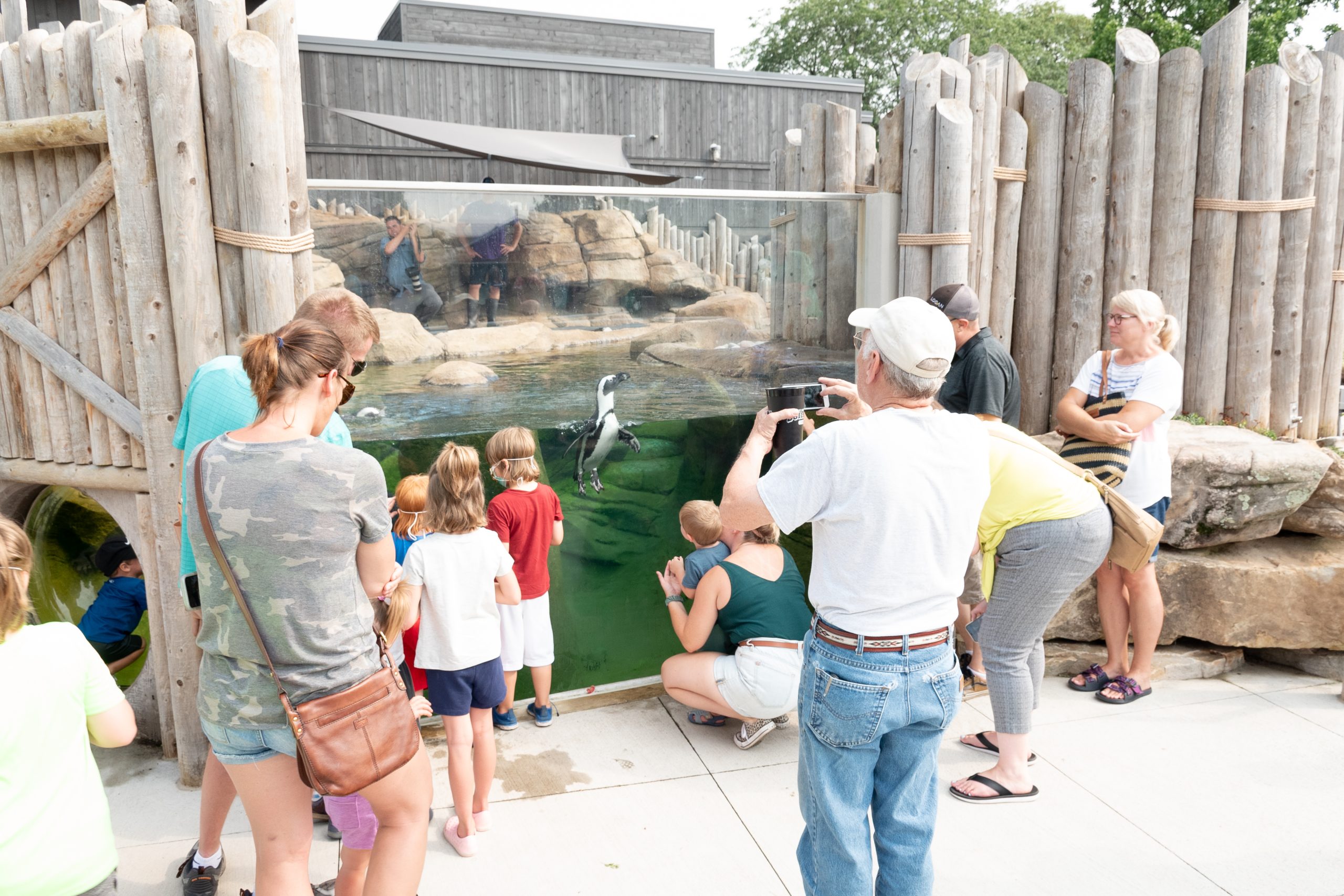 columbian park zoo penguin