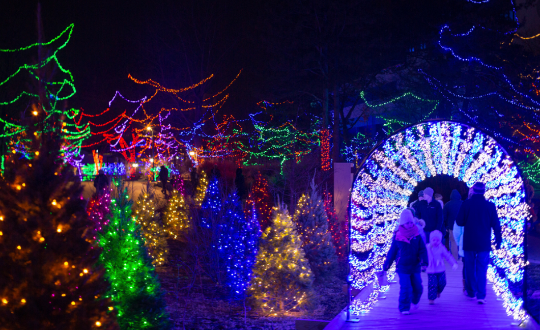Christmas Zoo.PNG