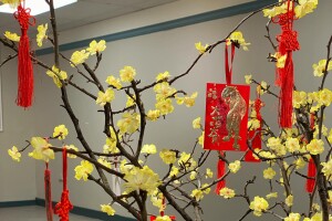 lunarnewyear.jpg