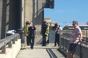 bridge2.jpg