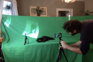 OwlKitty behind the scenes Portland, Oregon