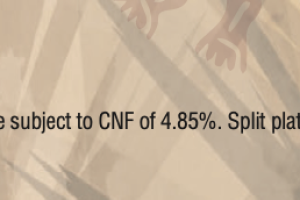 cabo wabo 2.png