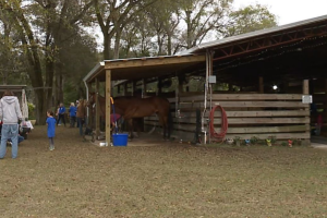 Saddle Up Riding Club WFTS.png