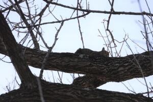 IMG_1551.jpg