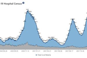 Indiana COVID hospitalizations