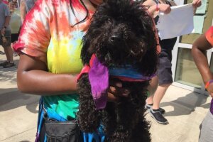 PICS: Pups of Circle City Pride