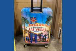 Boy's body found in suitcase