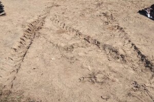 garfield park tire marks